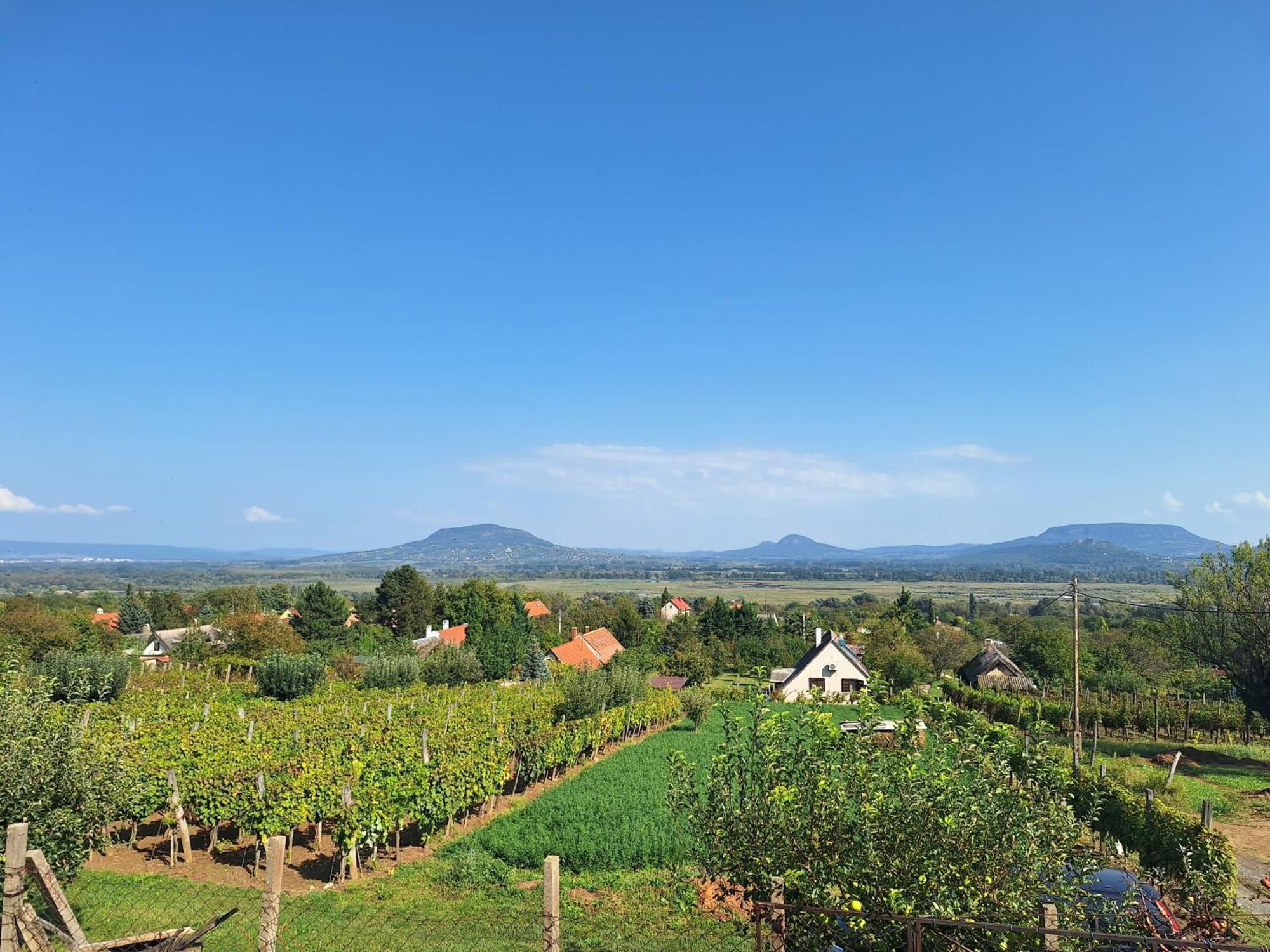 Apartmán Balatonhegyvideki