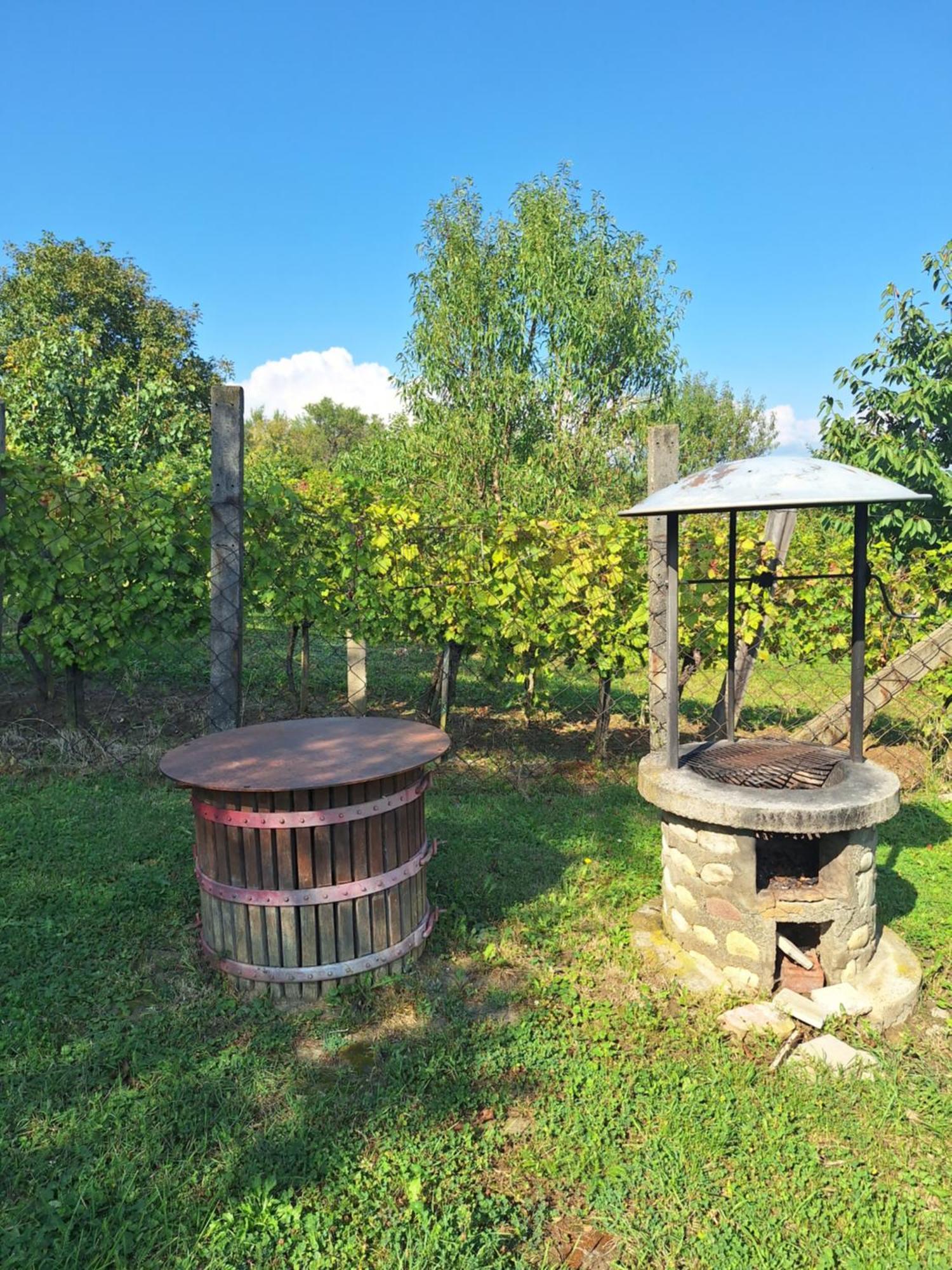 Apartmán Balatonhegyvideki *